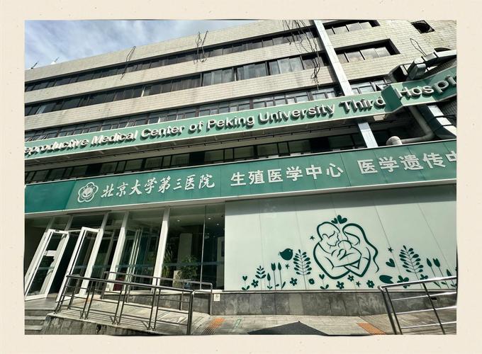 北京试管婴儿技术深度解析：从流程到选择，一文读懂核心要点