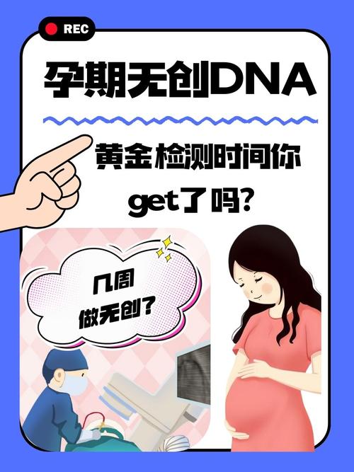 试管助孕孕期无创DNA检测